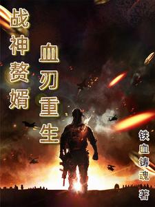 战神赘婿大结局14